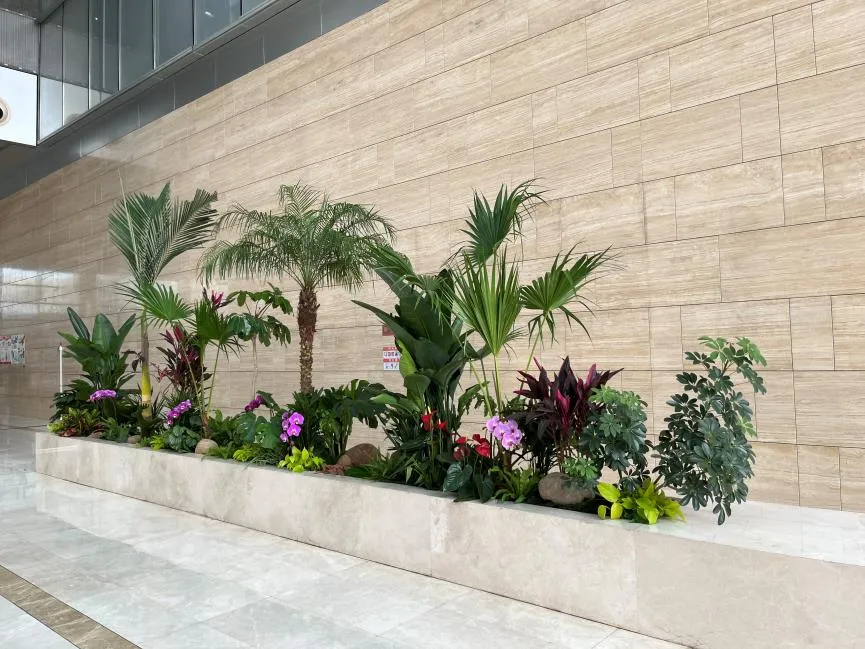 前湾盆景出租方案，解锁景观布置新方式